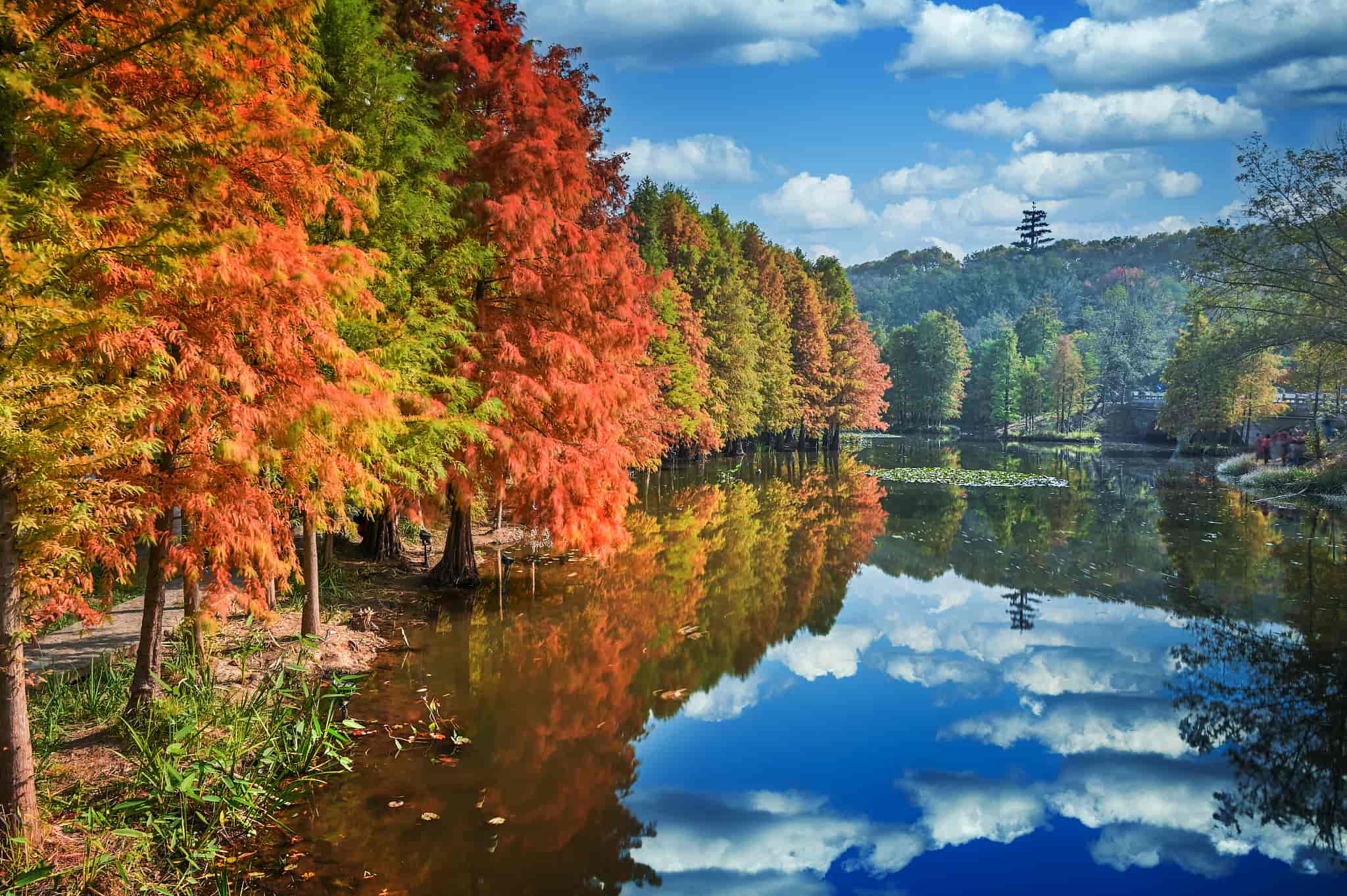 DB2死锁的处理过程