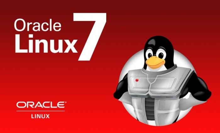 Oracle数据库Redhat7.4部署安装